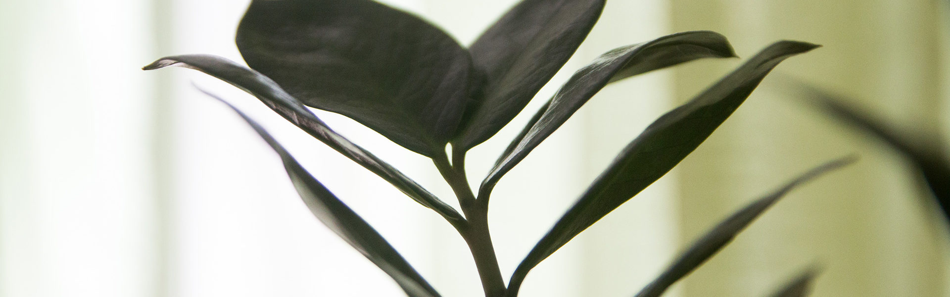 Ferienwohnung Schwalbennest - Wohnbereich